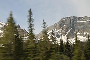 40 - Bow Lake  - IMG_0880